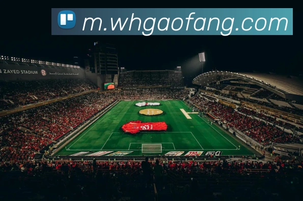 星空首页APP 封面图
